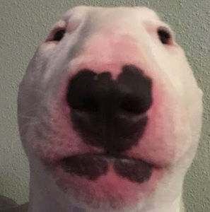 Meet your Posher, Renata